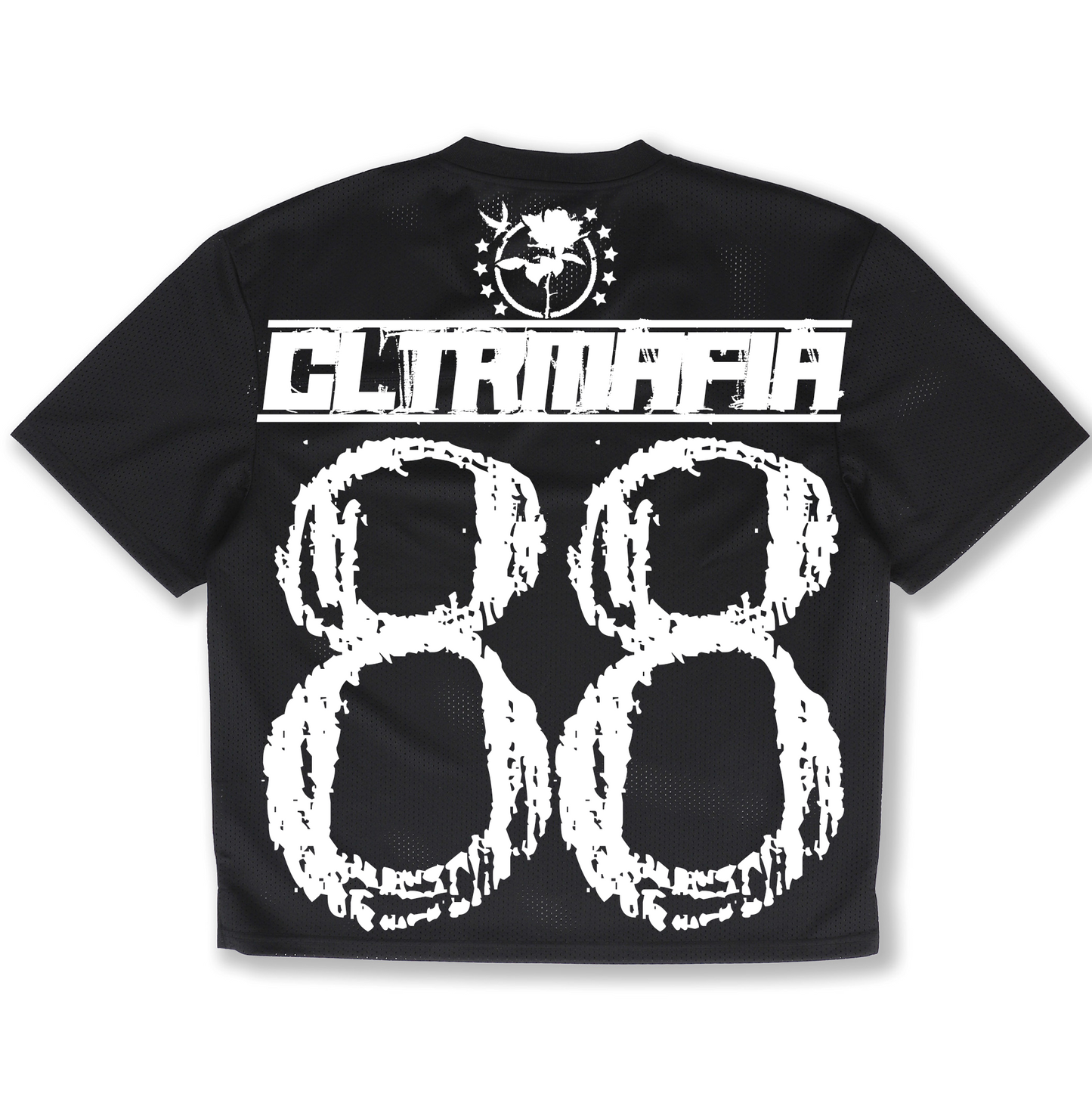 "UNIVERSITY OF ROSECLTR" JERSEY