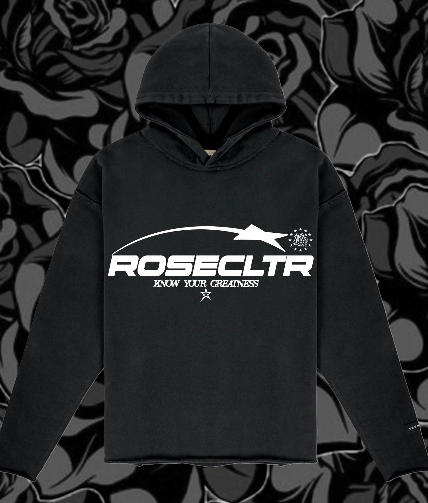 "ROSECLTR Studios Tour" Hoodie