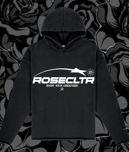 "ROSECLTR Studios Tour" Hoodie