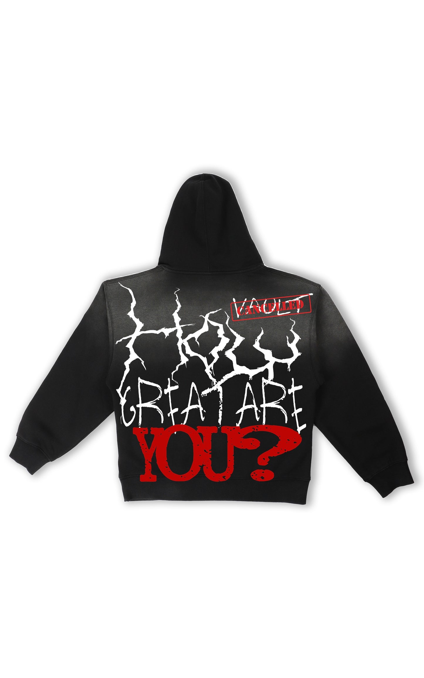"How Great Are You?" Hoodie
